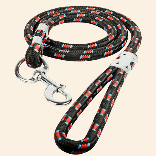 Premium Dog Leash For Medium To Large Dogs