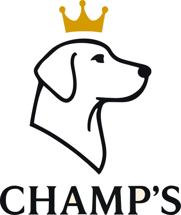 Champ Store